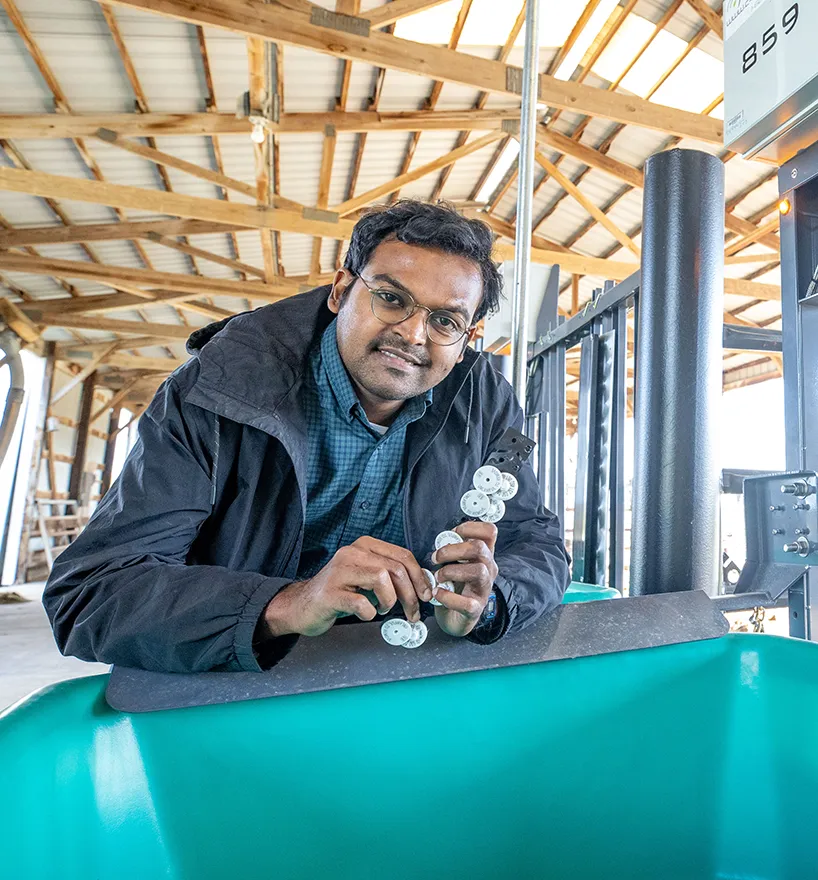 Anees Mon Aliyarukunju SIU graduate student overseeing the bull test as part of his MS program.